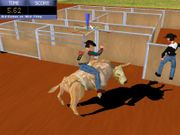 Extreme Bullrider