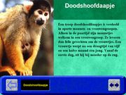 Hobie in de dierentuin