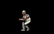 Ian Botham's Cricket