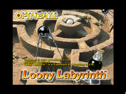 Loony Labyrinth