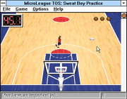 MicroLeague Time Out Sports: Basketball