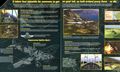 [Microsoft Combat Flight Simulator: WWII Europe Series - обложка №11]