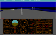 Microsoft Flight Simulator (v3.0)