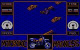 [Скриншот: Motorbike Madness]