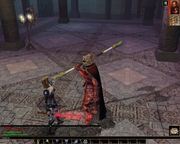 Neverwinter Nights