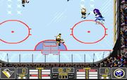 NHL Hockey 94