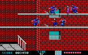 Ninja Gaiden