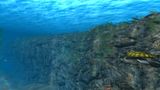 [OceanDive: Ocean Diving Adventure - скриншот №8]