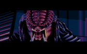 Predator 2