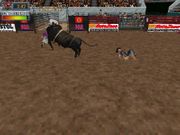 Professional Bullrider 2