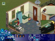 The Sims