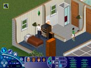 The Sims