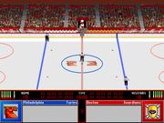 Solid Ice Hockey