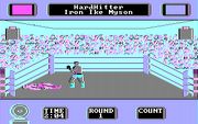 Star Rank Boxing II