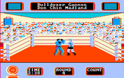 Star Rank Boxing II