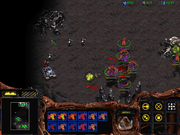 StarCraft