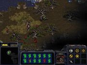 StarCraft: Insurrection