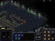 StarCraft: Insurrection