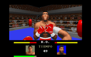 Super Boxing