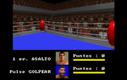 Super Boxing