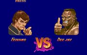 Super Street Fighter II: The New Challengers