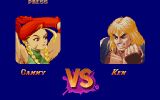 [Скриншот: Super Street Fighter II: The New Challengers]