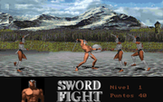 Sword Fight