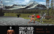 Sword Fight