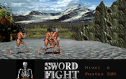 Sword Fight