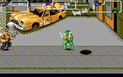 Teenage Mutant Ninja Turtles II: The Arcade Game