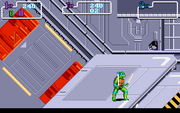 Teenage Mutant Ninja Turtles II: The Arcade Game