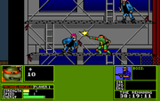 Teenage Mutant Ninja Turtles: Manhattan Missions