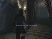 Thief: Deadly Shadows