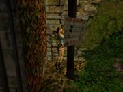 Tomb Raider: The Lost Artifact