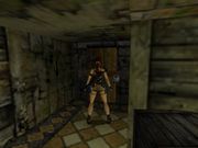 Tomb Raider: The Lost Artifact