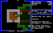 Ultima V: Warriors of Destiny