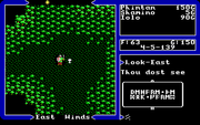 Ultima V: Warriors of Destiny