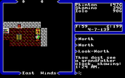 Ultima V: Warriors of Destiny