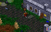 Ultima VIII: Pagan