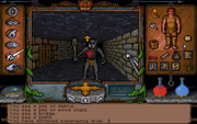 Ultima Underworld: The Stygian Abyss