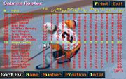 Wayne Gretzky Hockey 3