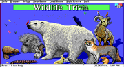 Wildlife Trivia