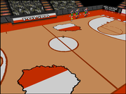 World League Basketball