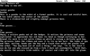 Zork II