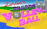 [Скриншот: Zorlim's Arcade Volleyball]