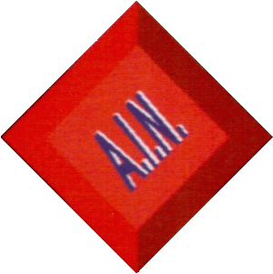 AIN Logo.gif